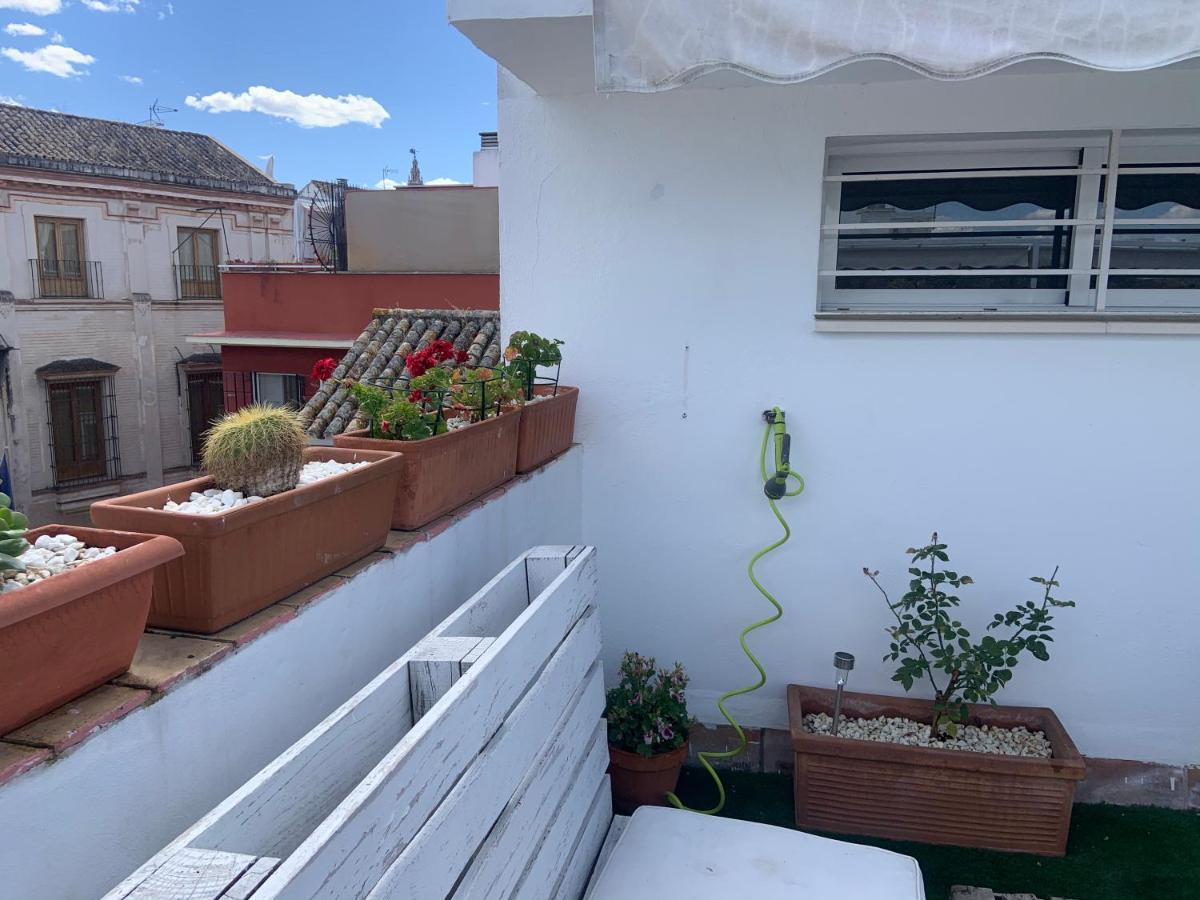 Lr2 Private Terrace & Parking Right In The City Center Sevilla Exterior foto